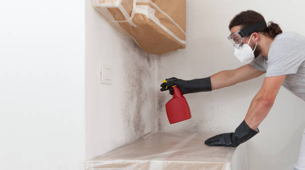 Professional Crawl Space Mold Remediation technician working in Mebane, NC
