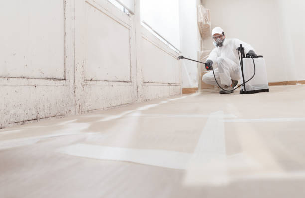 24/7 Emergency Crawl Space Mold Remediation experts in Mebane, NC
