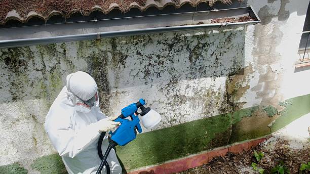 Top rated local Crawl Space Mold Remediation specialists in Mebane, NC